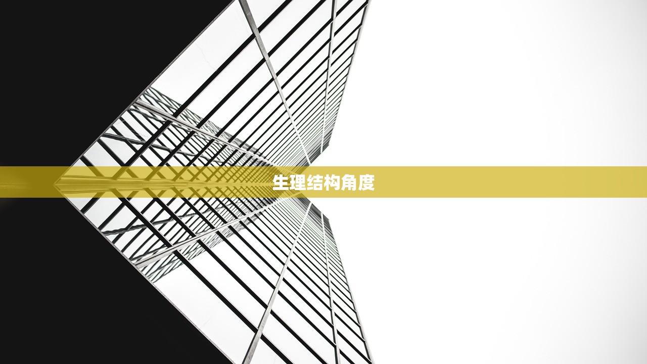 生理结构角度