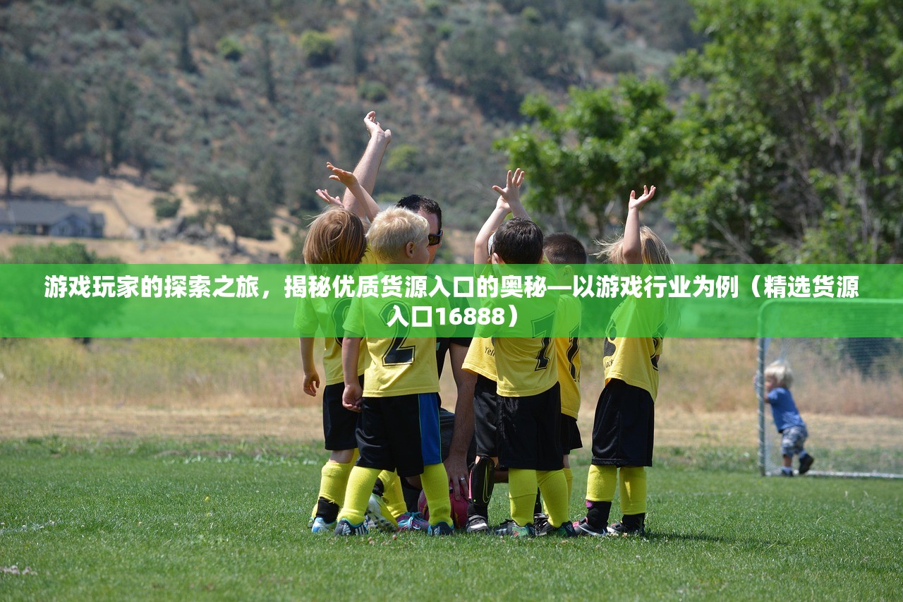 游戏玩家的探索之旅，揭秘优质货源入口的奥秘—以游戏行业为例（精选货源入口16888）