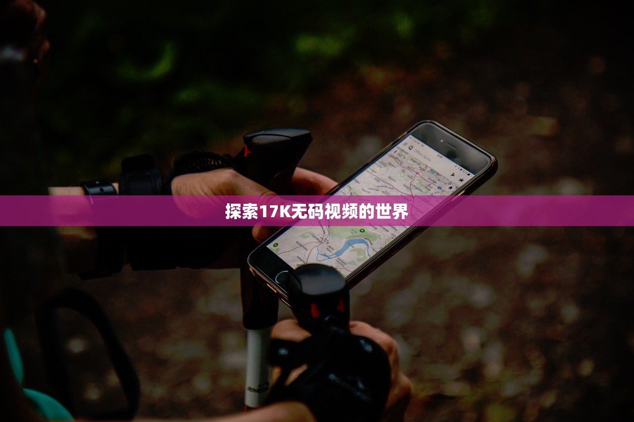 探索17K无码视频的世界