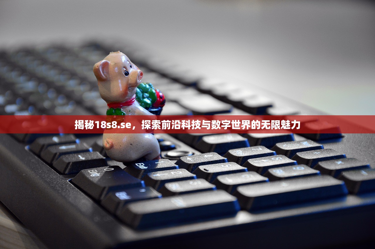 揭秘18s8.se，探索前沿科技与数字世界的无限魅力