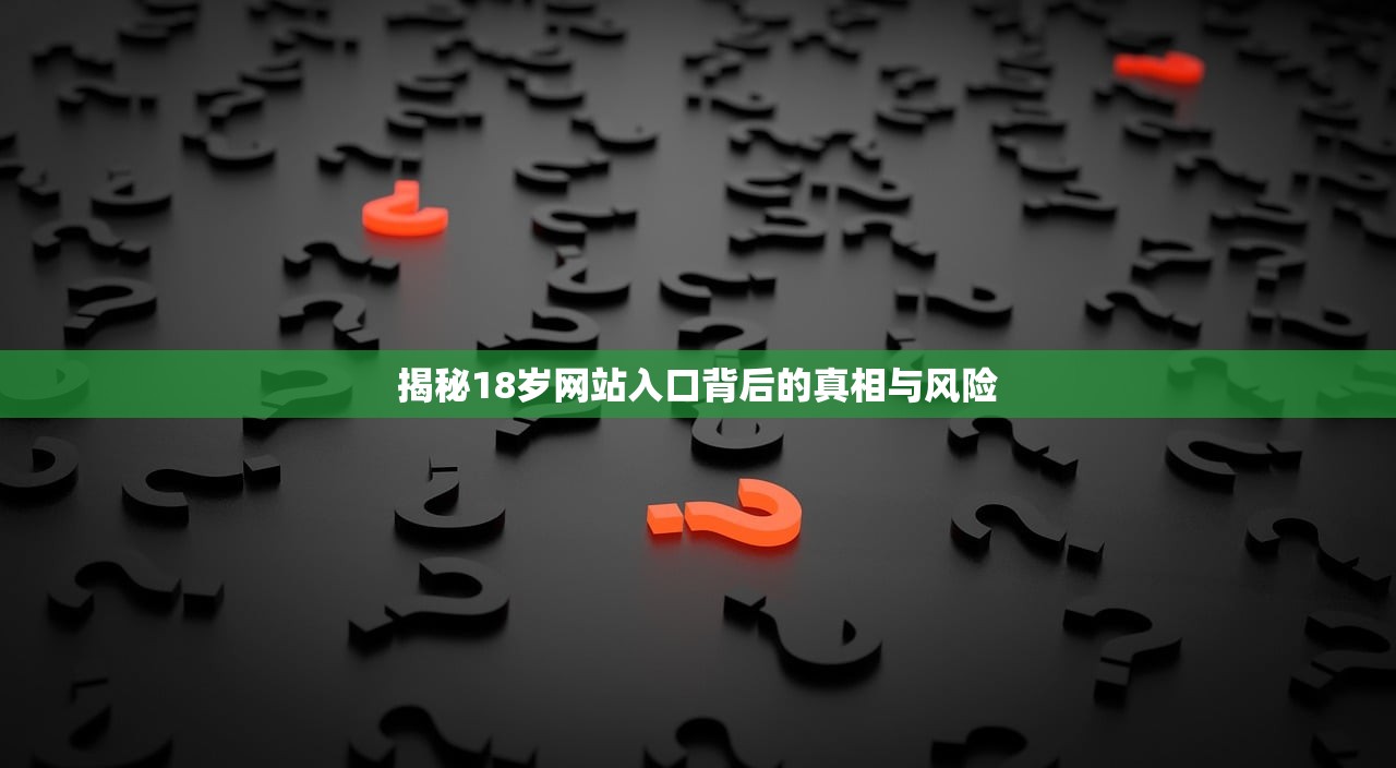 揭秘18岁网站入口背后的真相与风险