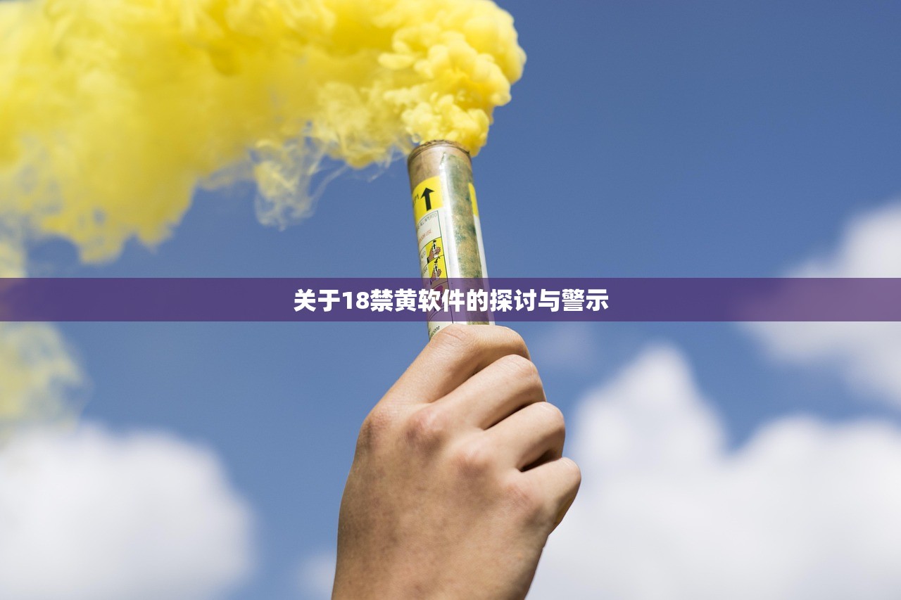 关于18禁黄软件的探讨与警示