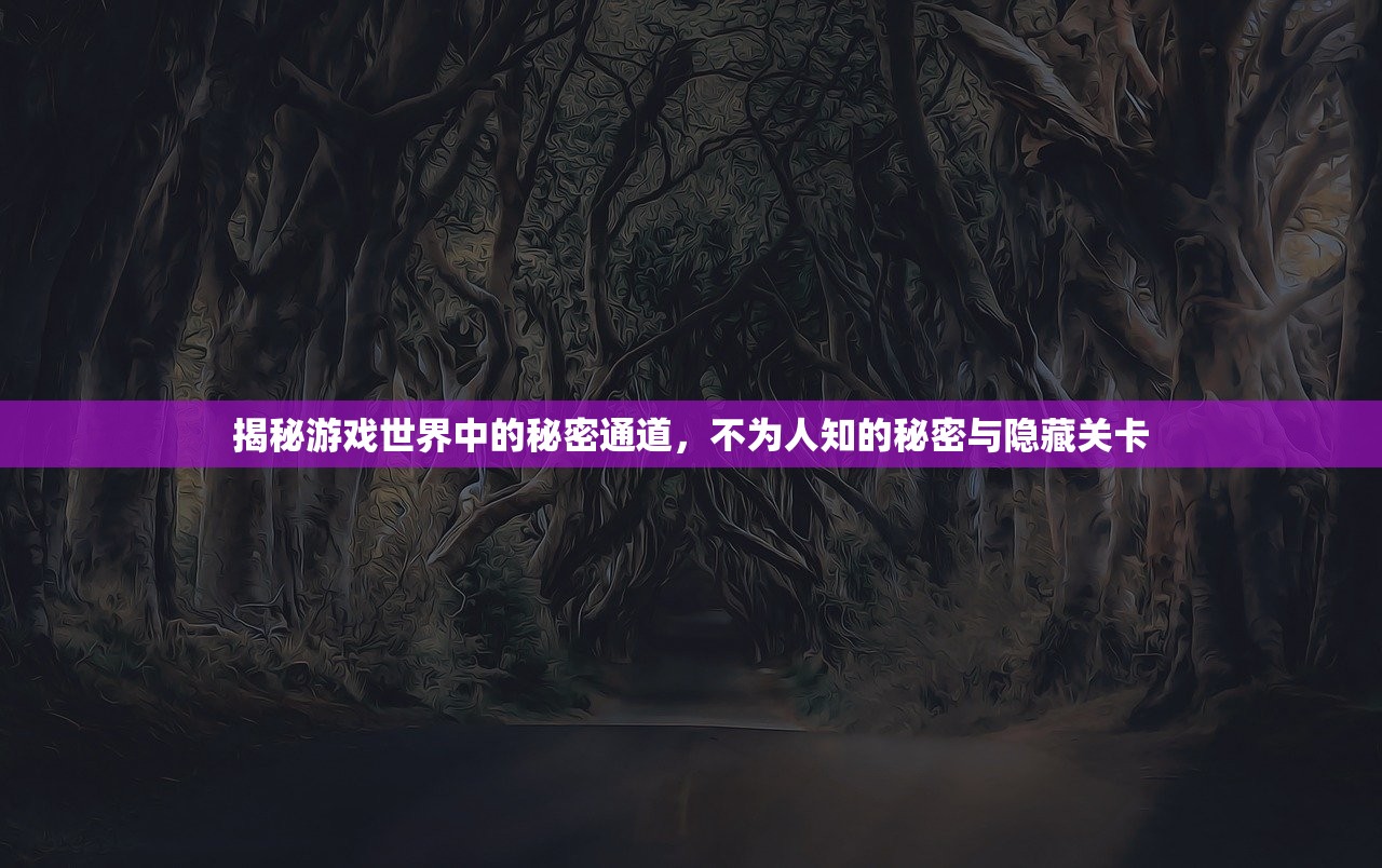 揭秘游戏世界中的秘密通道，不为人知的秘密与隐藏关卡