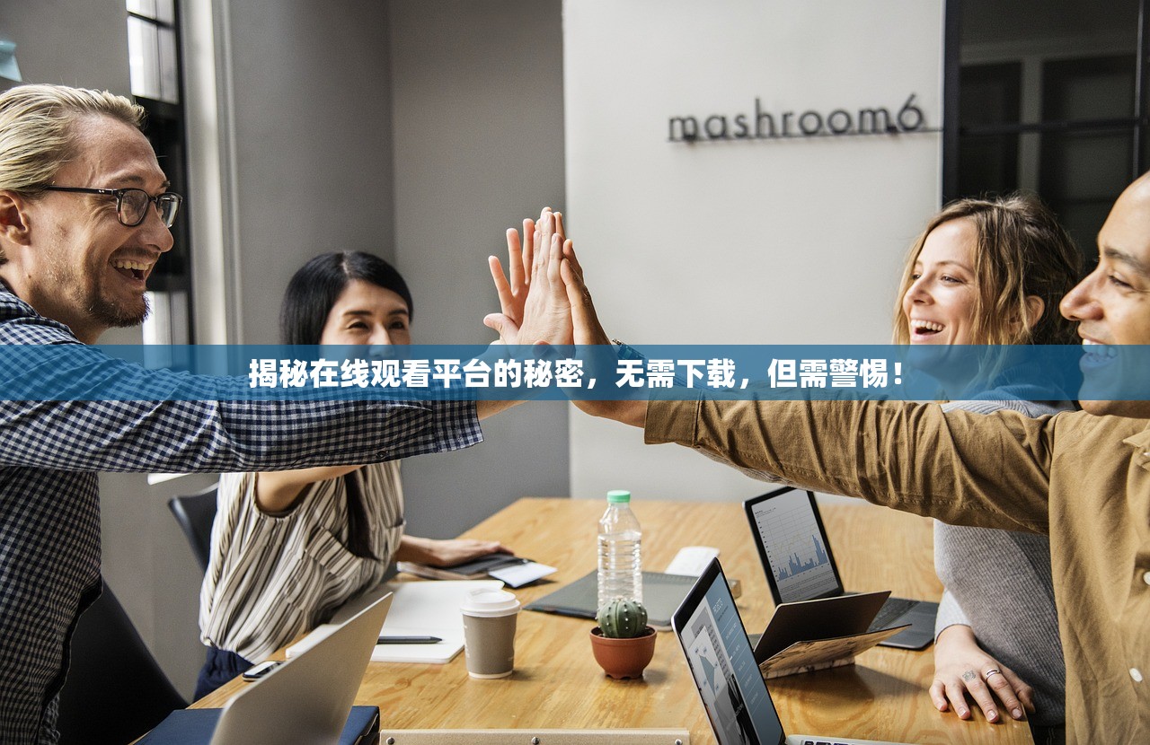 揭秘在线观看平台的秘密，无需下载，但需警惕！