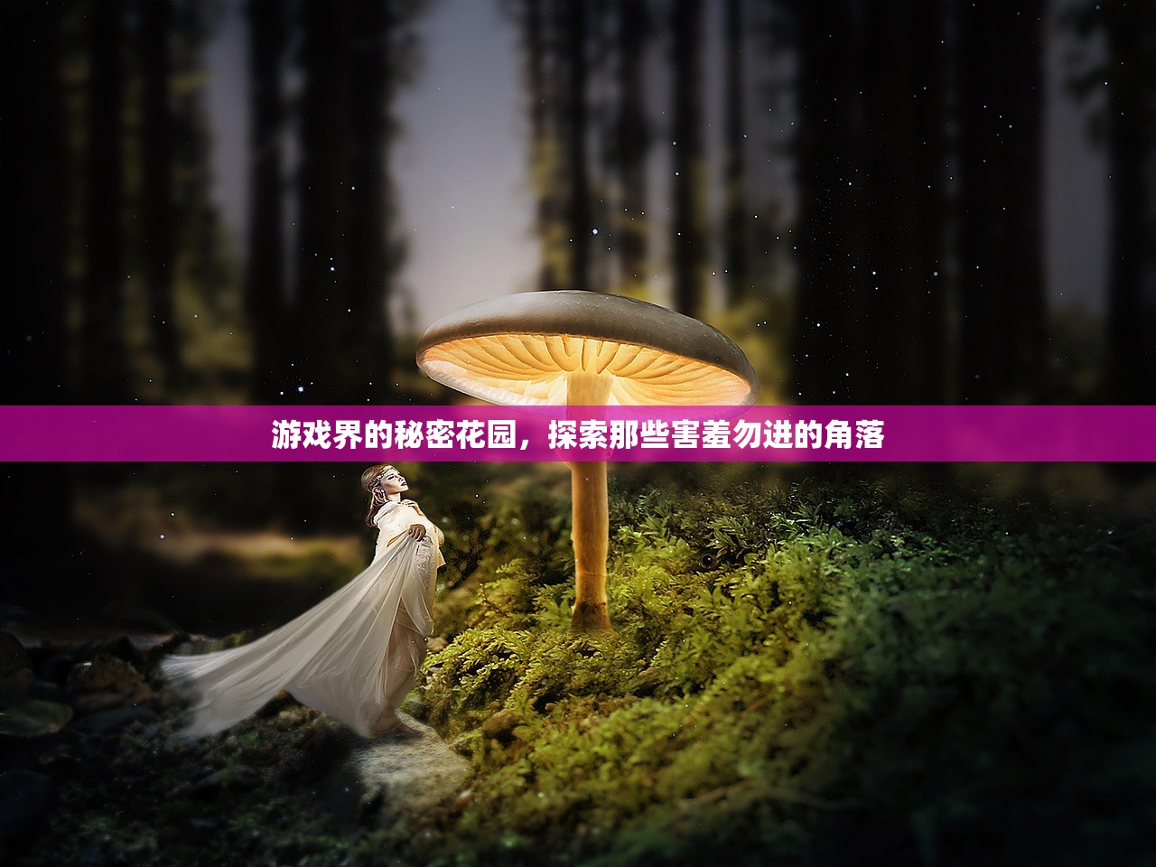 游戏界的秘密花园，探索那些害羞勿进的角落