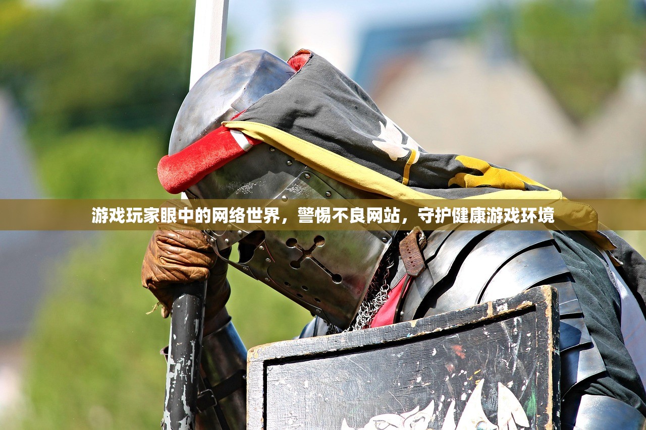游戏玩家眼中的网络世界，警惕不良网站，守护健康游戏环境