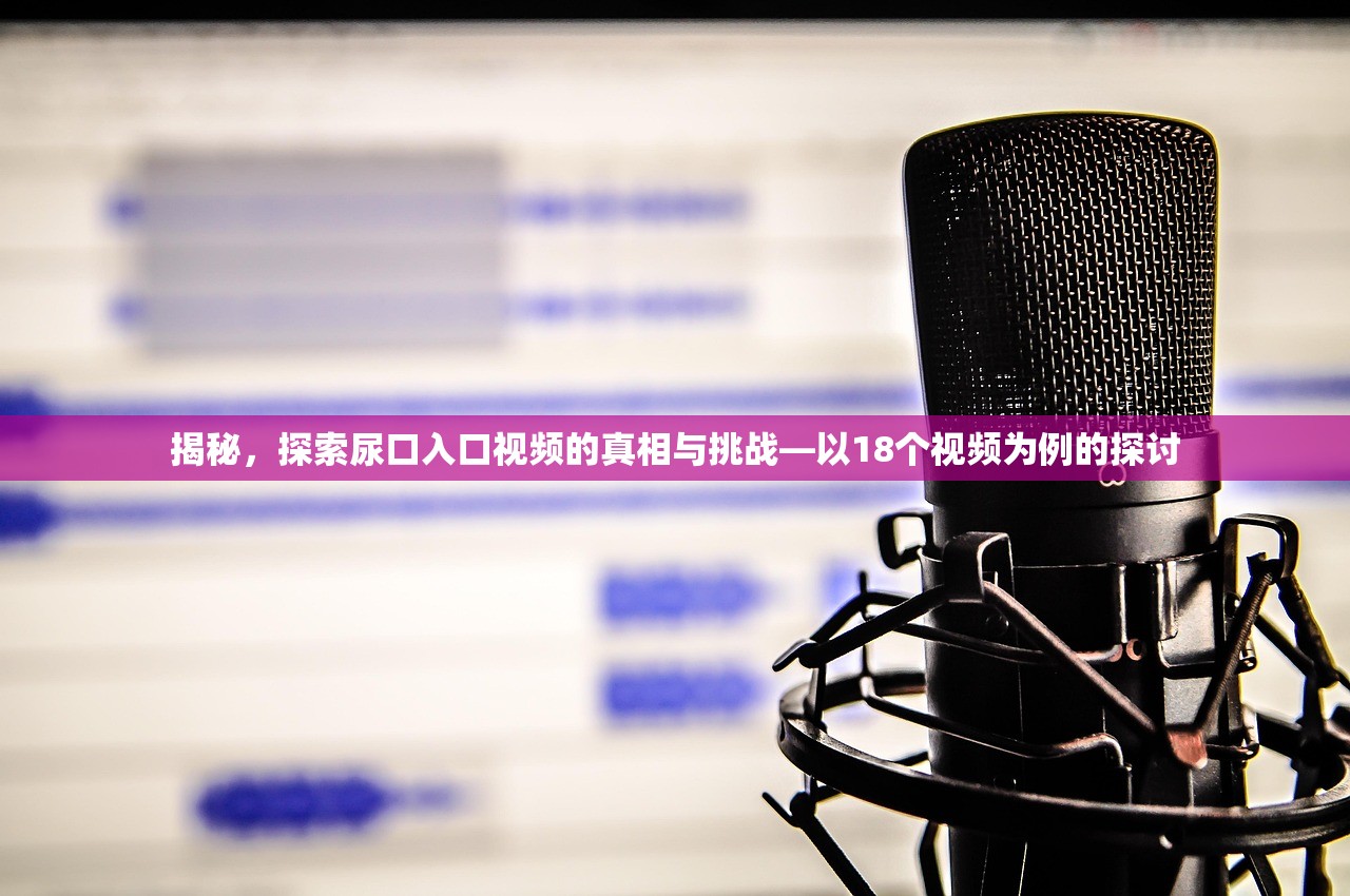 揭秘，探索尿口入口视频的真相与挑战—以18个视频为例的探讨