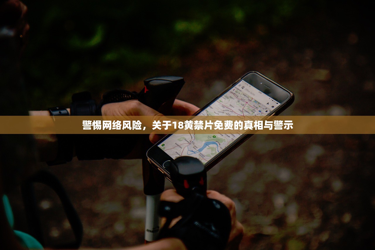 警惕网络风险，关于18黄禁片免费的真相与警示