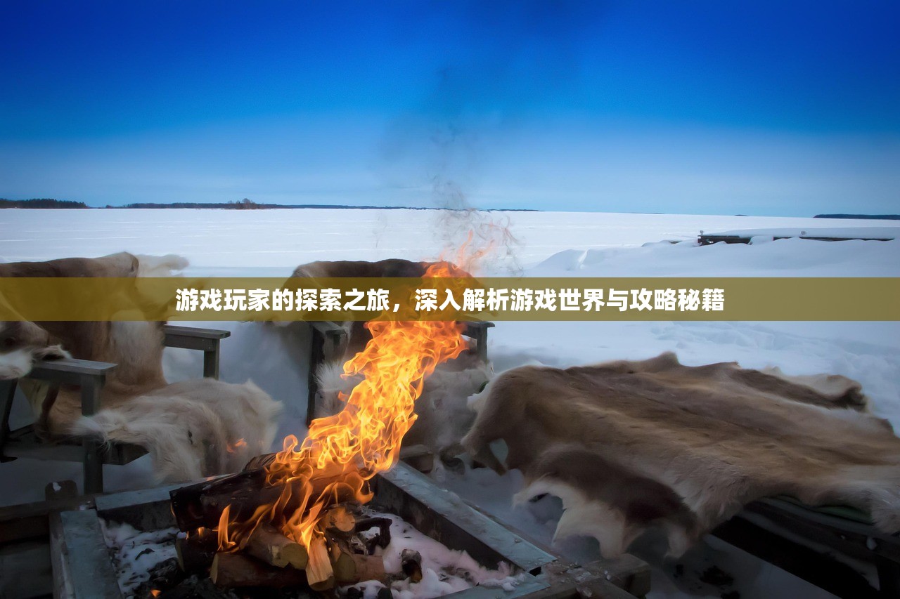 游戏玩家的探索之旅，深入解析游戏世界与攻略秘籍