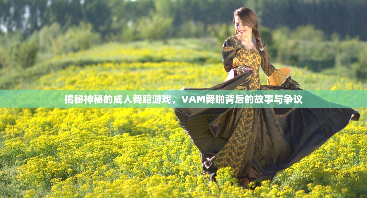 揭秘神秘的成人舞蹈游戏，VAM舞啪背后的故事与争议