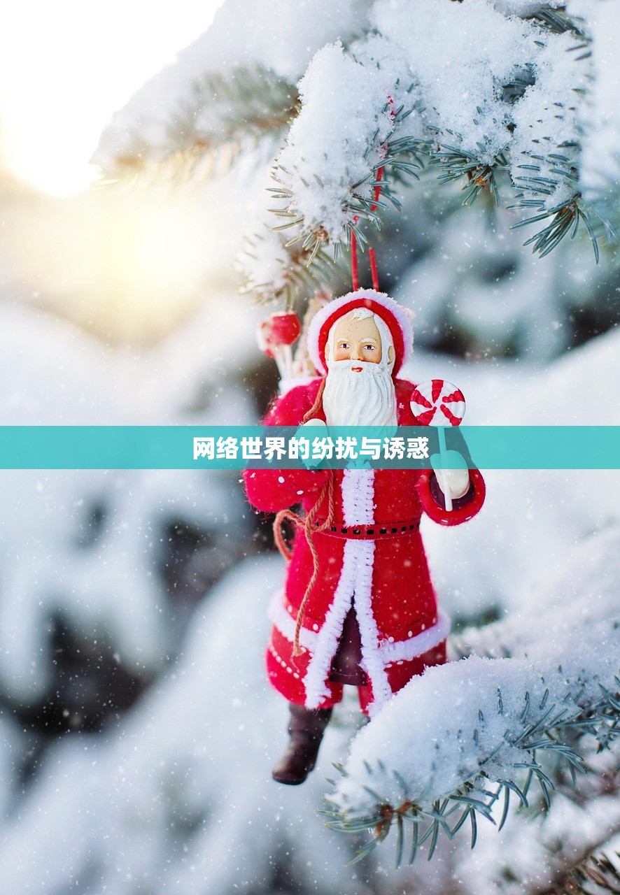 网络世界的纷扰与诱惑