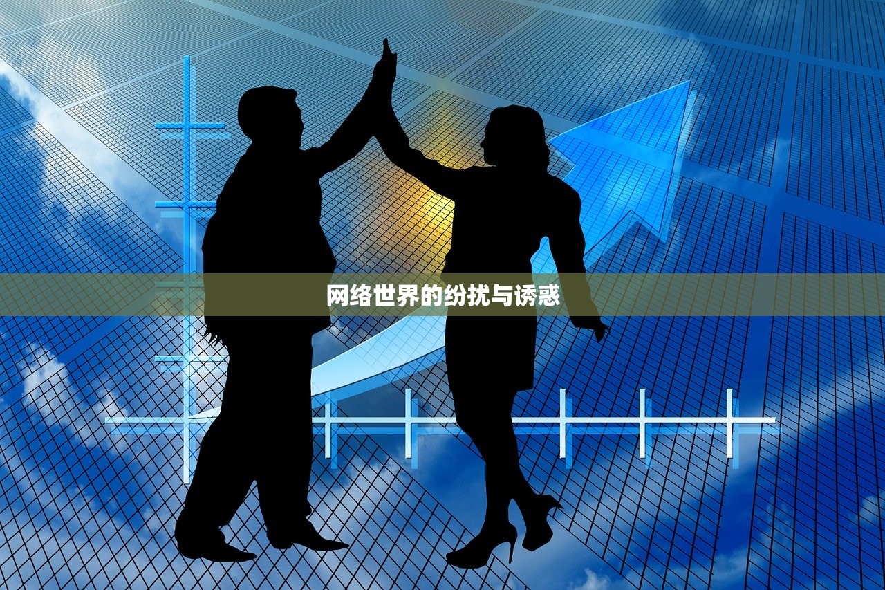网络世界的纷扰与诱惑