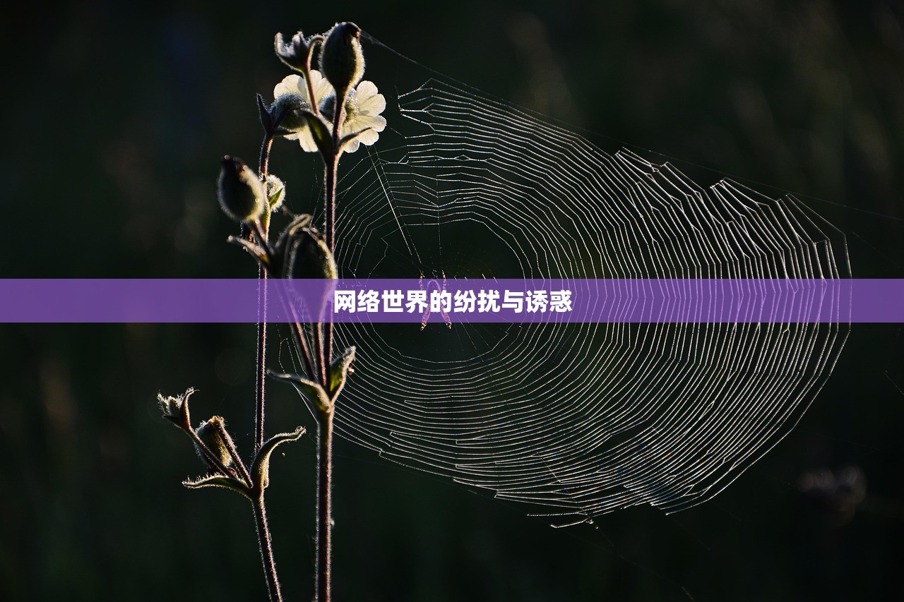 网络世界的纷扰与诱惑