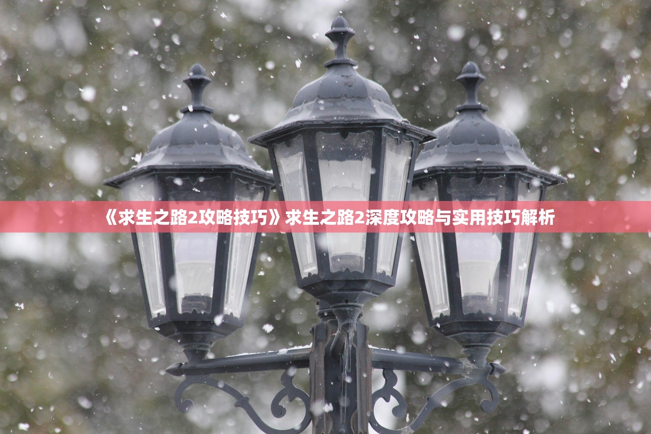 《求生之路2攻略技巧》求生之路2深度攻略与实用技巧解析