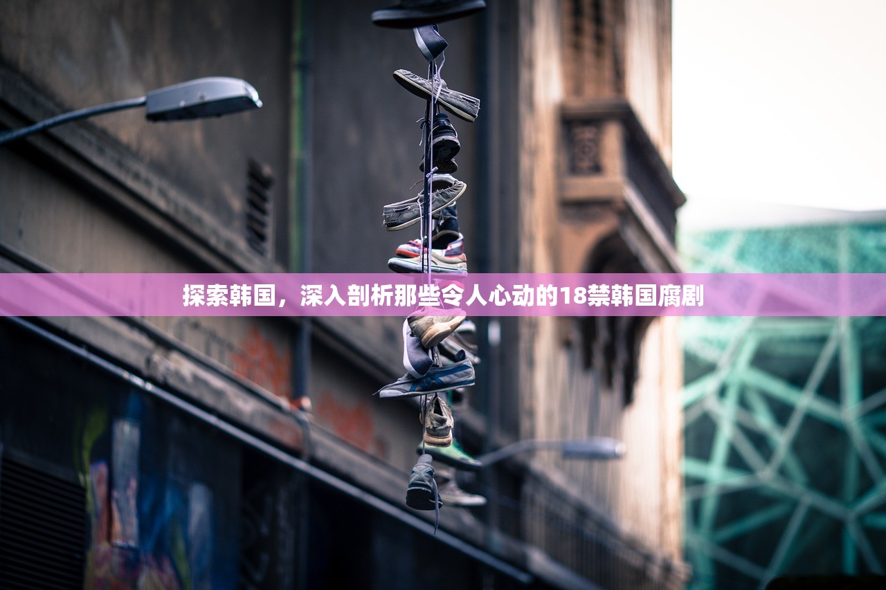 探索韩国，深入剖析那些令人心动的18禁韩国腐剧