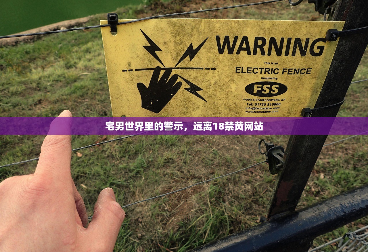 宅男世界里的警示，远离18禁黄网站