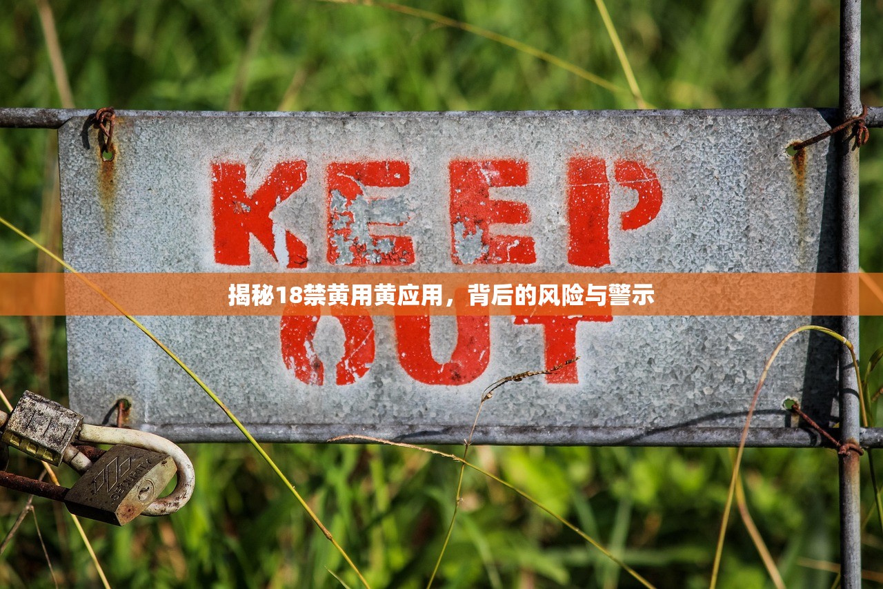 揭秘18禁黄用黄应用，背后的风险与警示