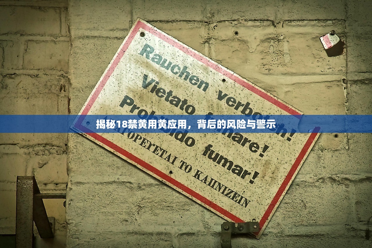 揭秘18禁黄用黄应用，背后的风险与警示