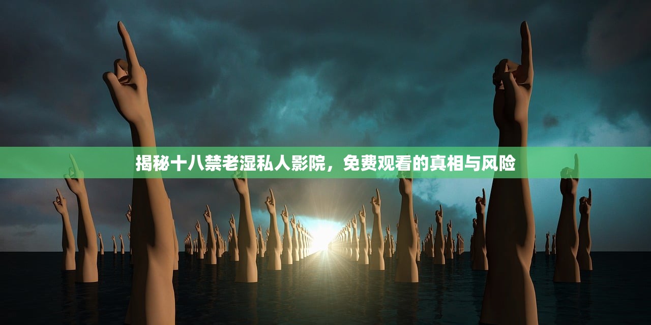 揭秘十八禁老湿私人影院，免费观看的真相与风险