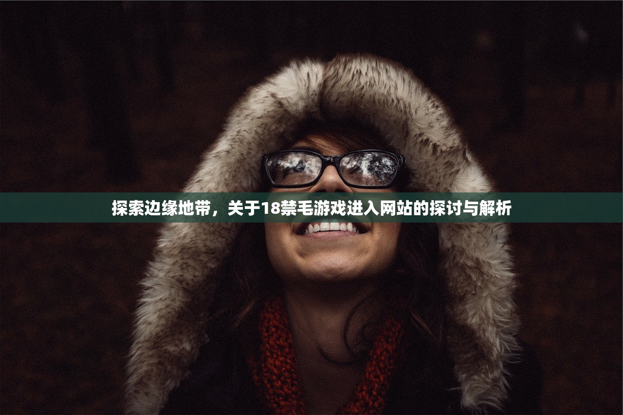 探索边缘地带，关于18禁毛游戏进入网站的探讨与解析