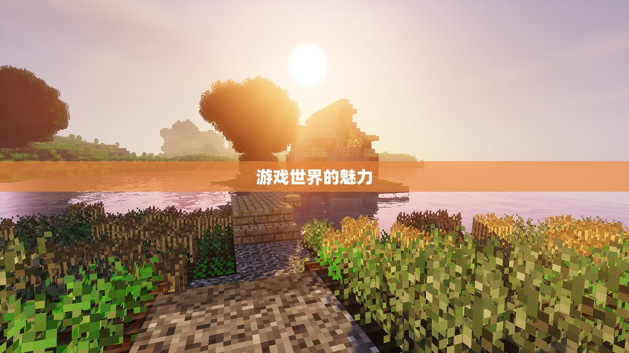 游戏世界的魅力