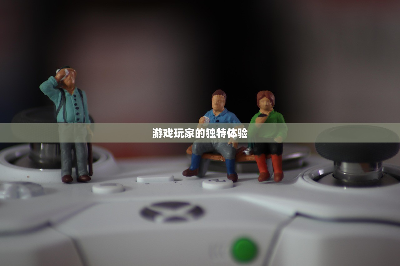游戏玩家的独特体验