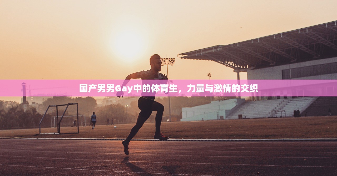 国产男男Gay中的体育生，力量与激情的交织