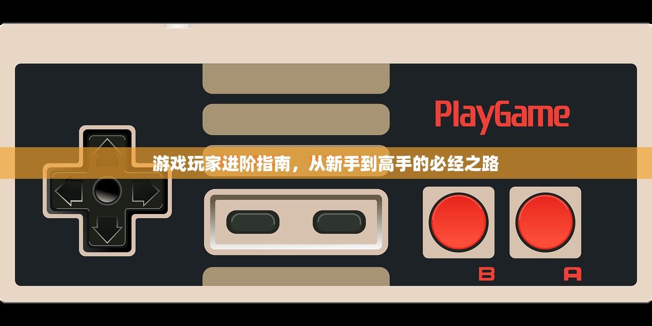 游戏玩家进阶指南，从新手到高手的必经之路