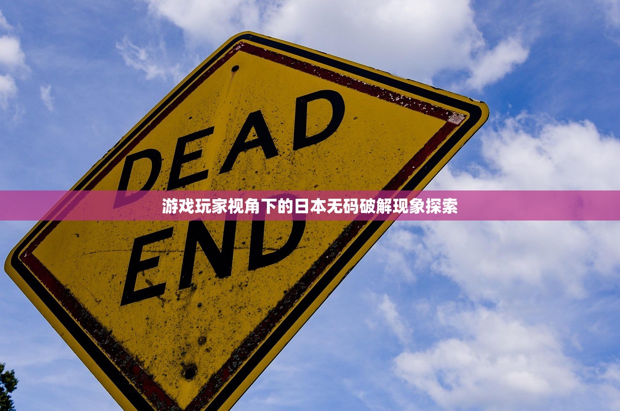 游戏玩家视角下的日本无码破解现象探索