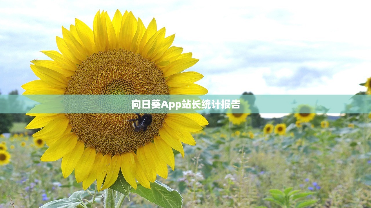 向日葵App站长统计报告
