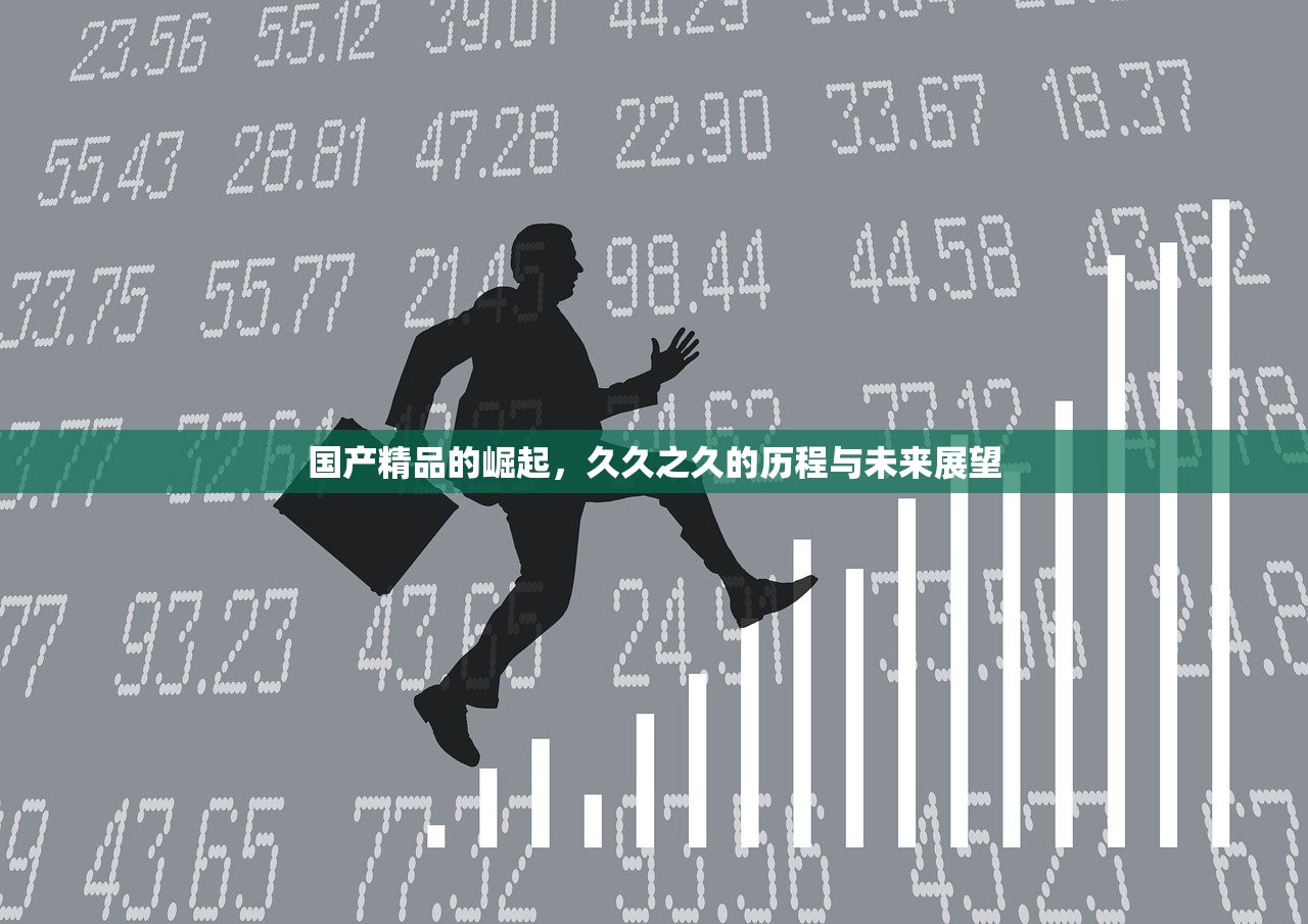 国产精品的崛起，久久之久的历程与未来展望