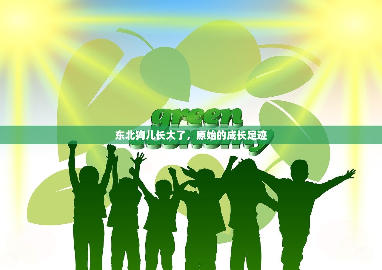 东北狗儿长大了，原始的成长足迹