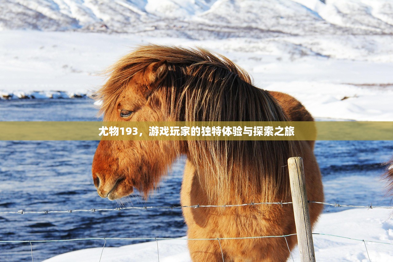 尤物193，游戏玩家的独特体验与探索之旅