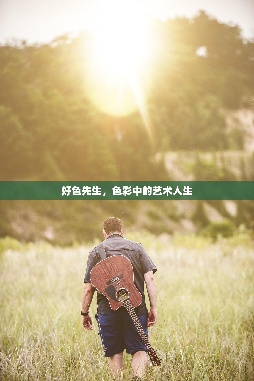 好色先生，色彩中的艺术人生