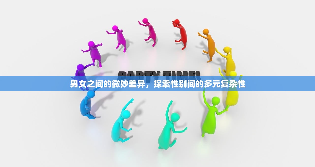男女之间的微妙差异，探索性别间的多元复杂性