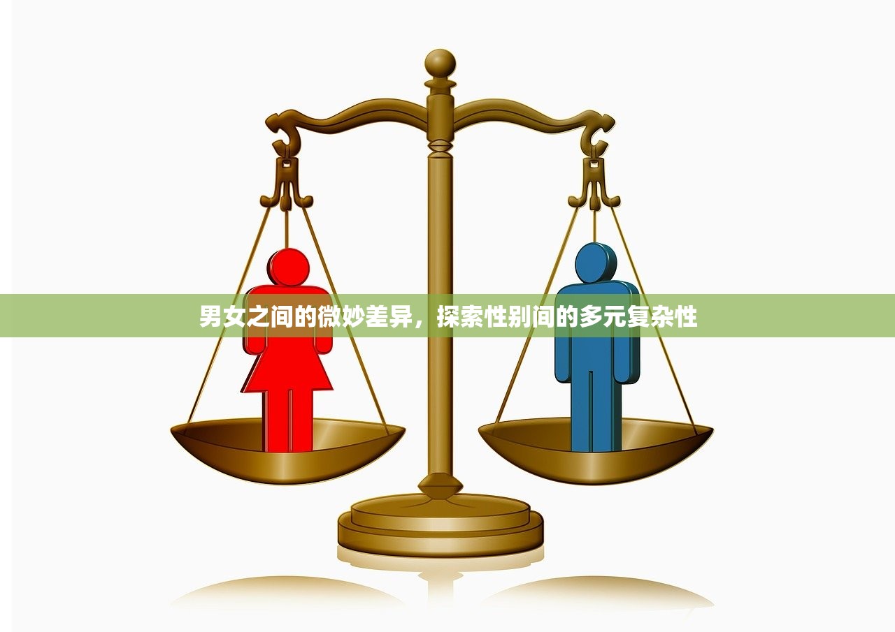 男女之间的微妙差异，探索性别间的多元复杂性