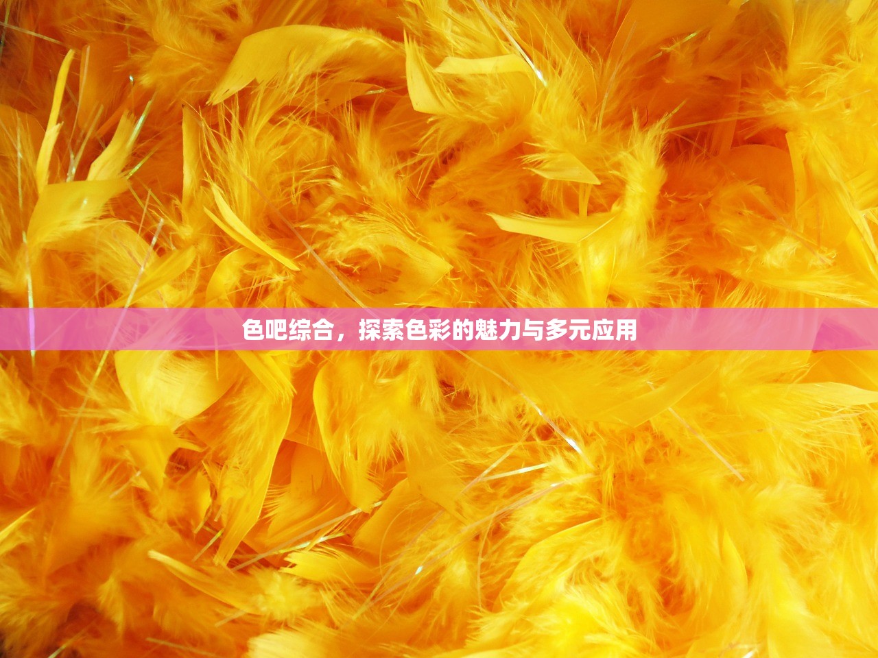 色吧综合，探索色彩的魅力与多元应用