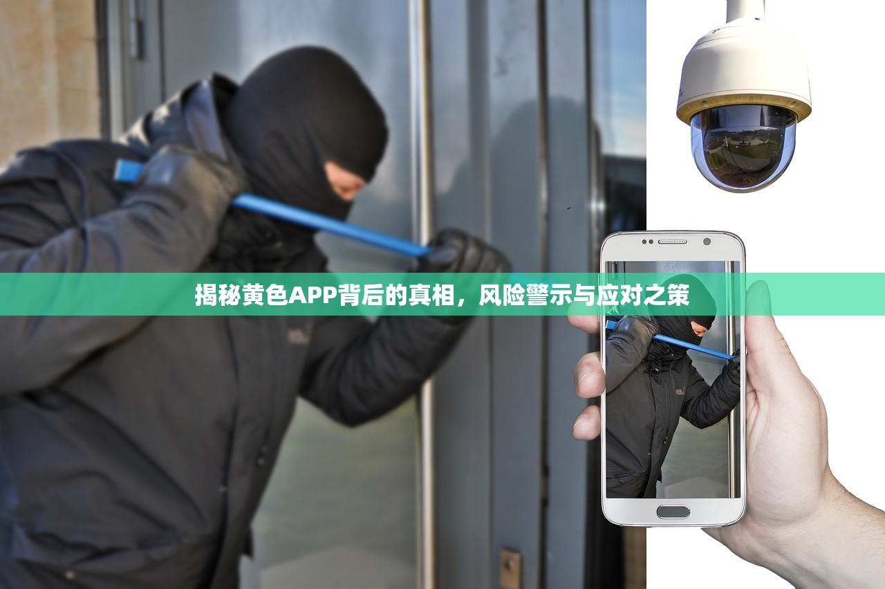 揭秘黄色APP背后的真相，风险警示与应对之策