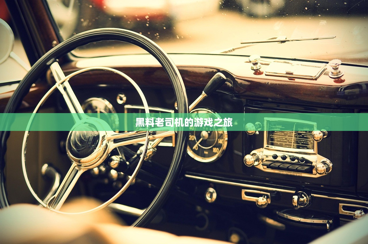 黑料老司机的游戏之旅