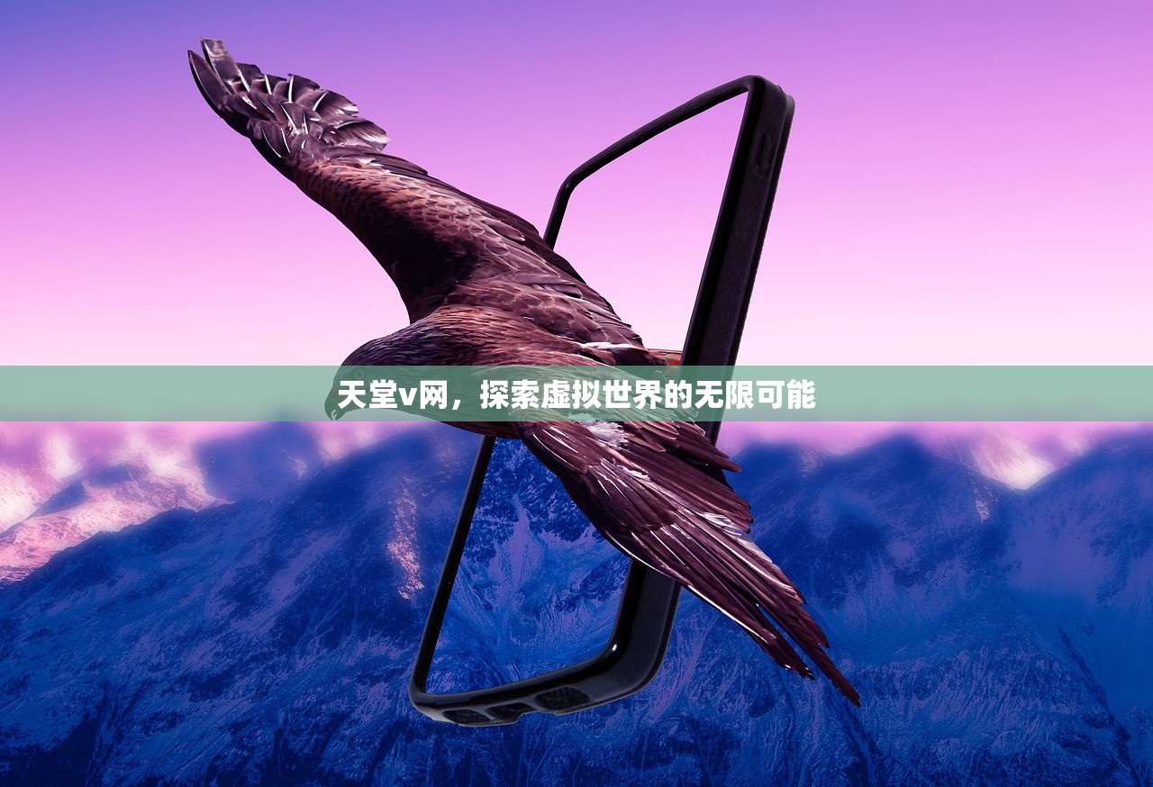 天堂v网，探索虚拟世界的无限可能