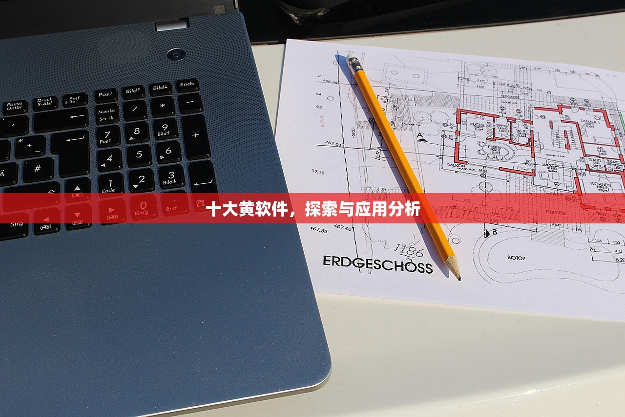 十大黄软件，探索与应用分析