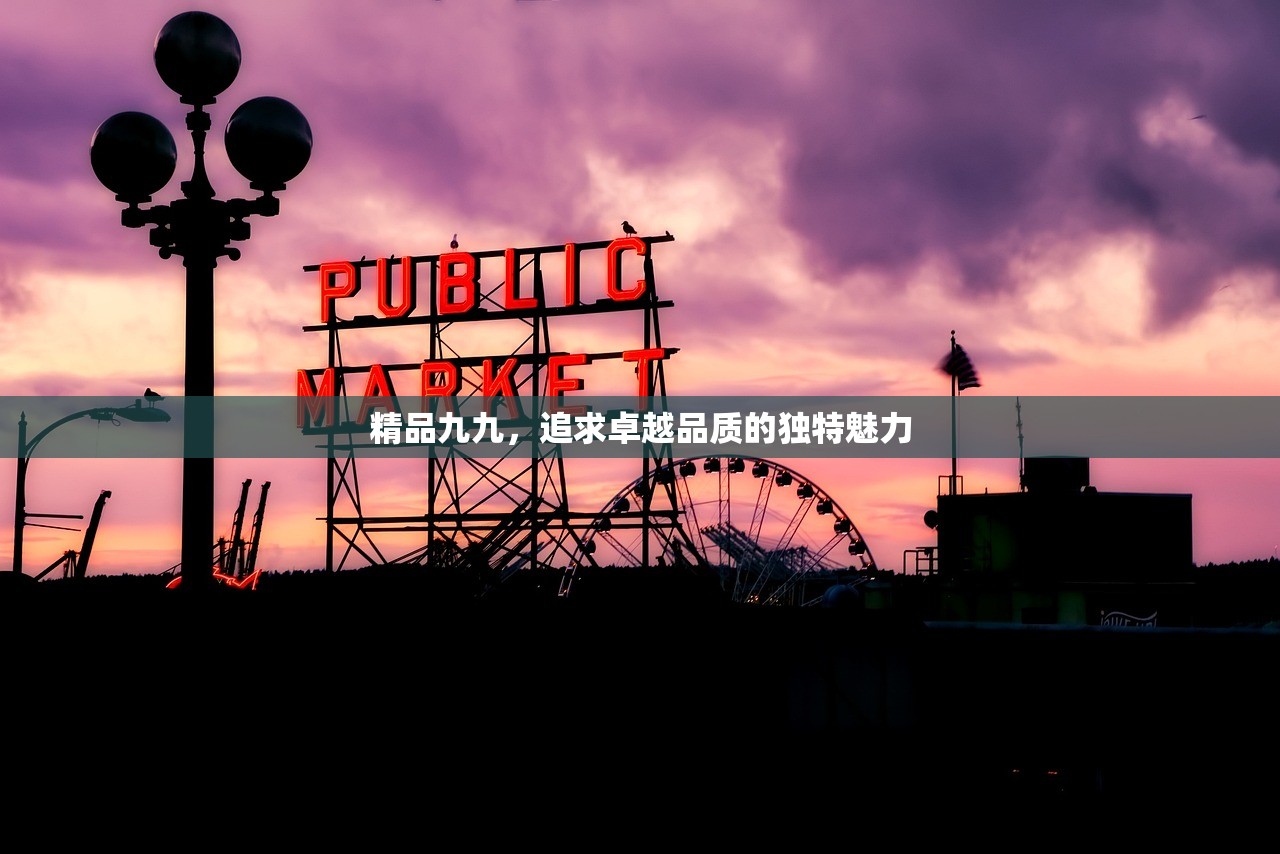 精品九九，追求卓越品质的独特魅力