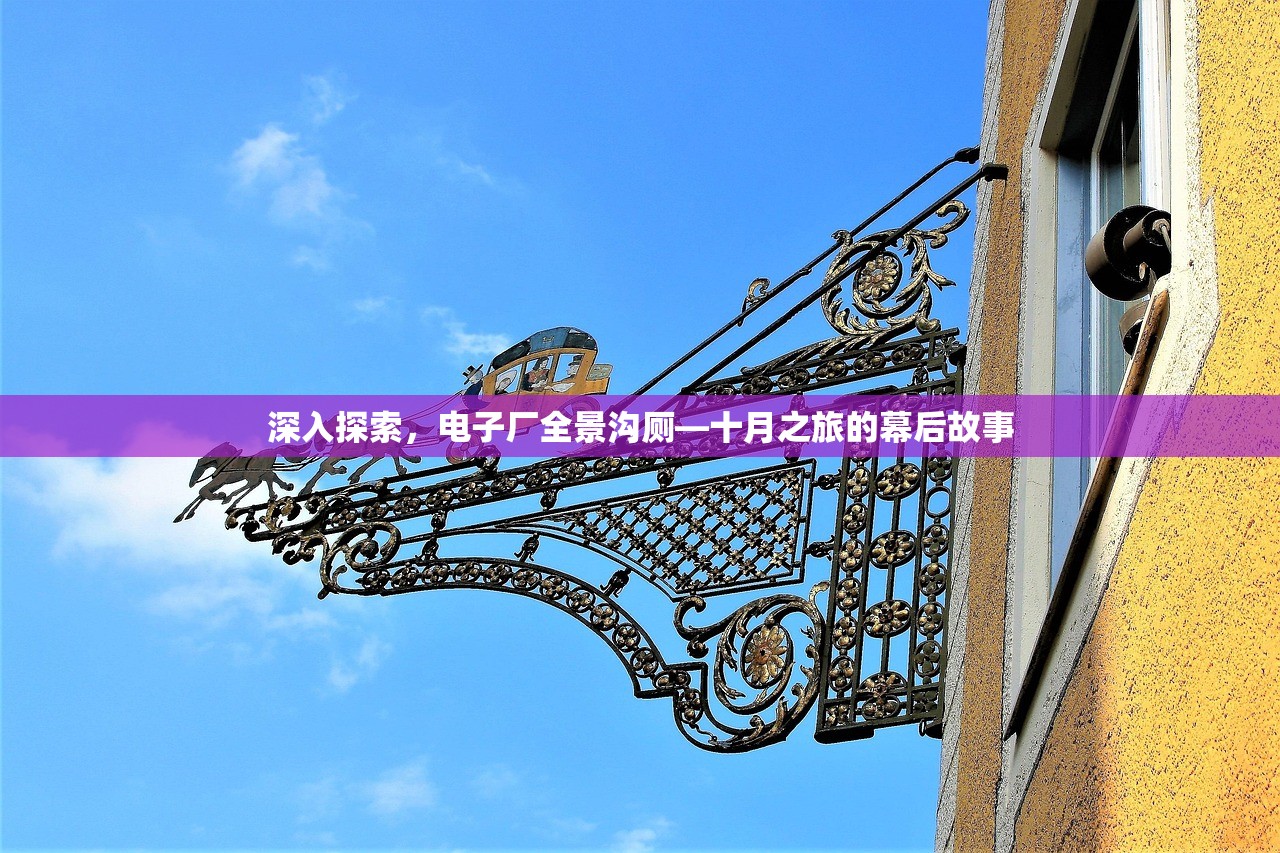 深入探索，电子厂全景沟厕—十月之旅的幕后故事