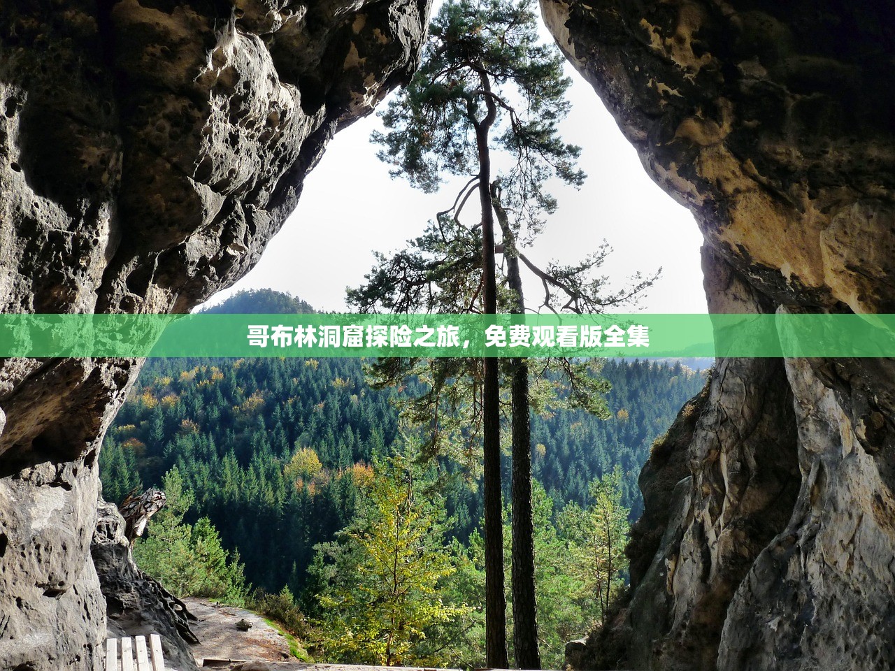 哥布林洞窟探险之旅，免费观看版全集