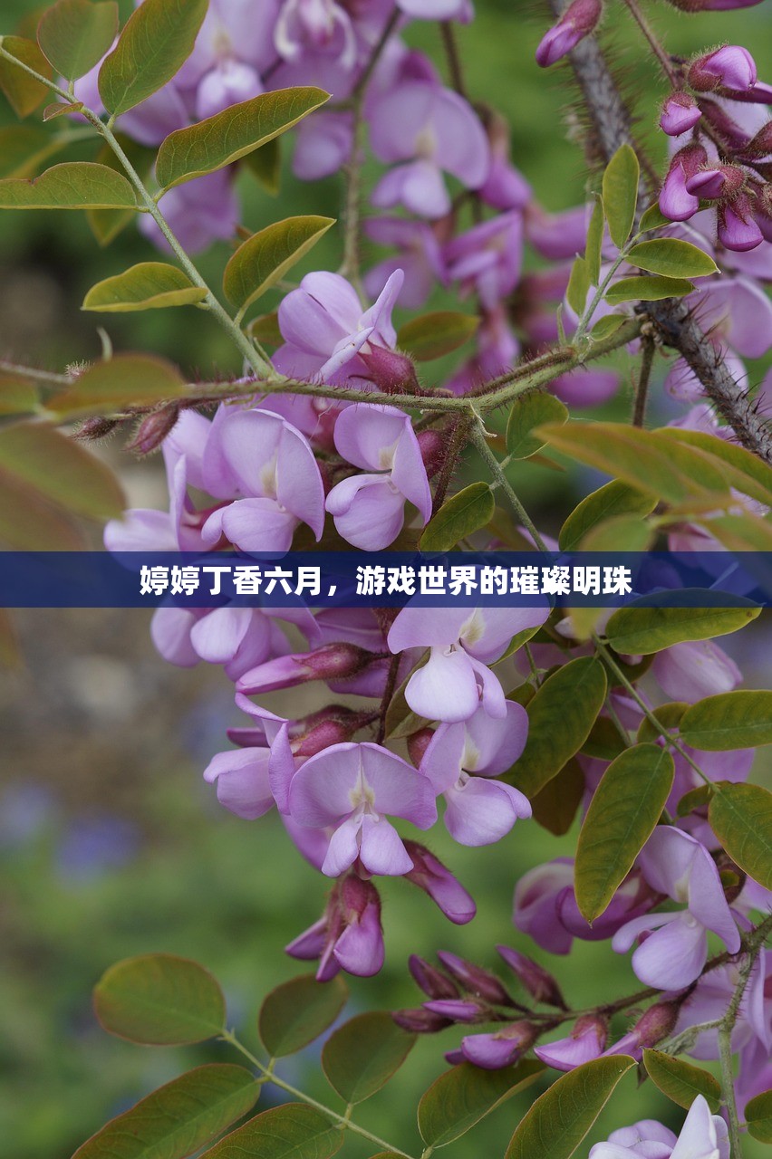 婷婷丁香六月，游戏世界的璀璨明珠
