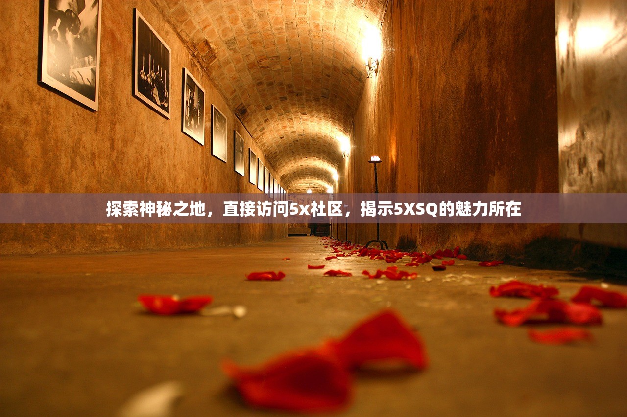 探索神秘之地，直接访问5x社区，揭示5XSQ的魅力所在