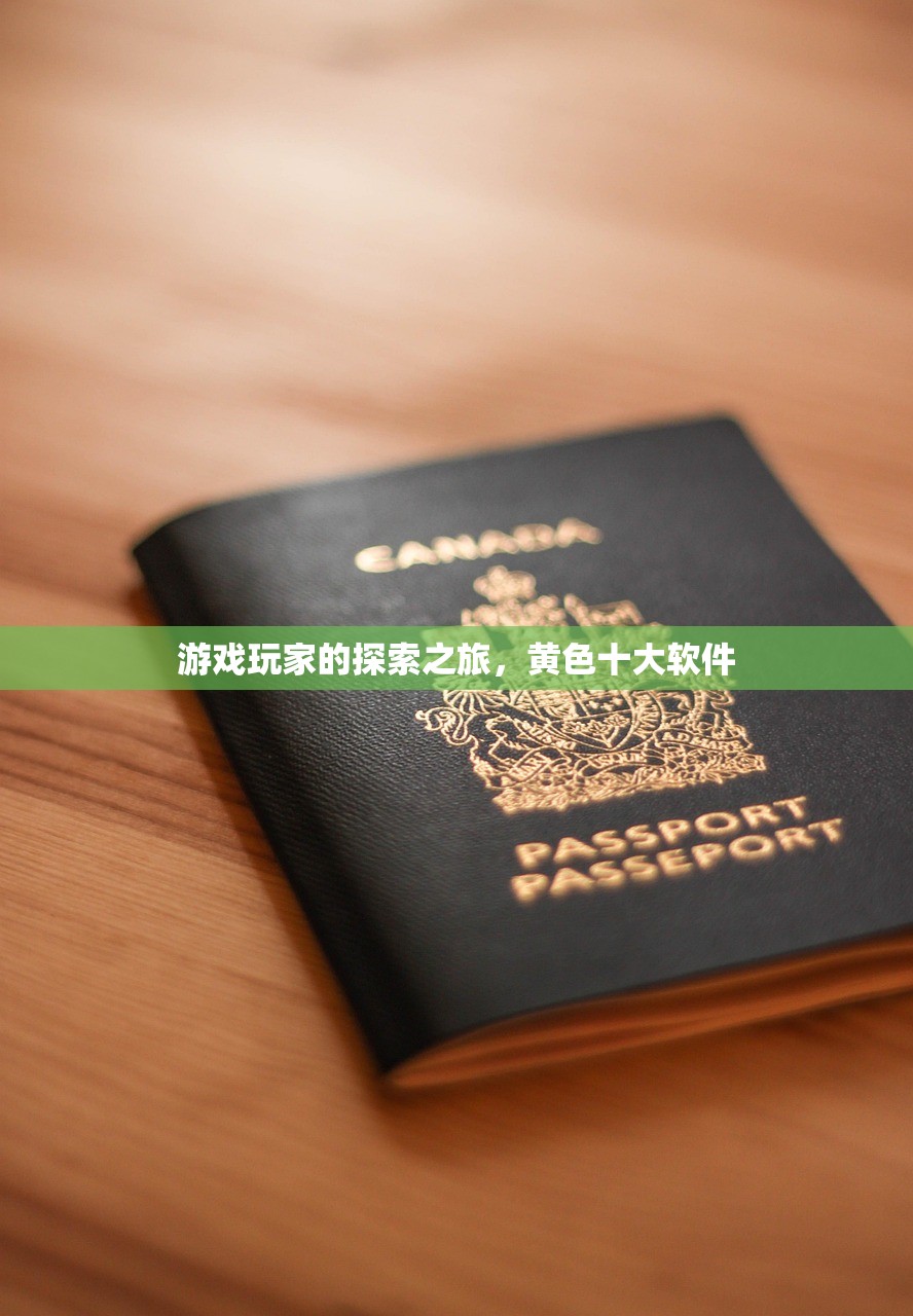 游戏玩家的探索之旅，黄色十大软件