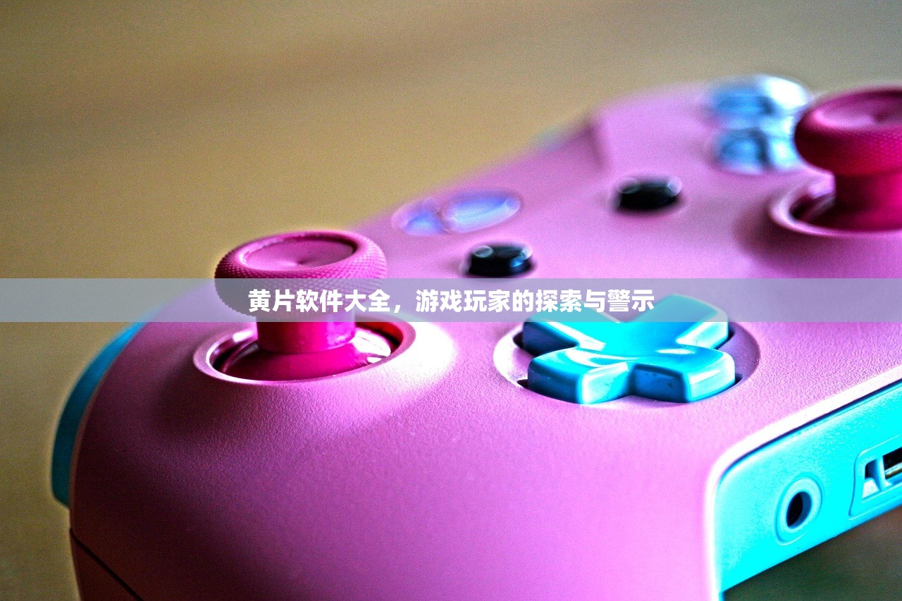 黄片软件大全，游戏玩家的探索与警示