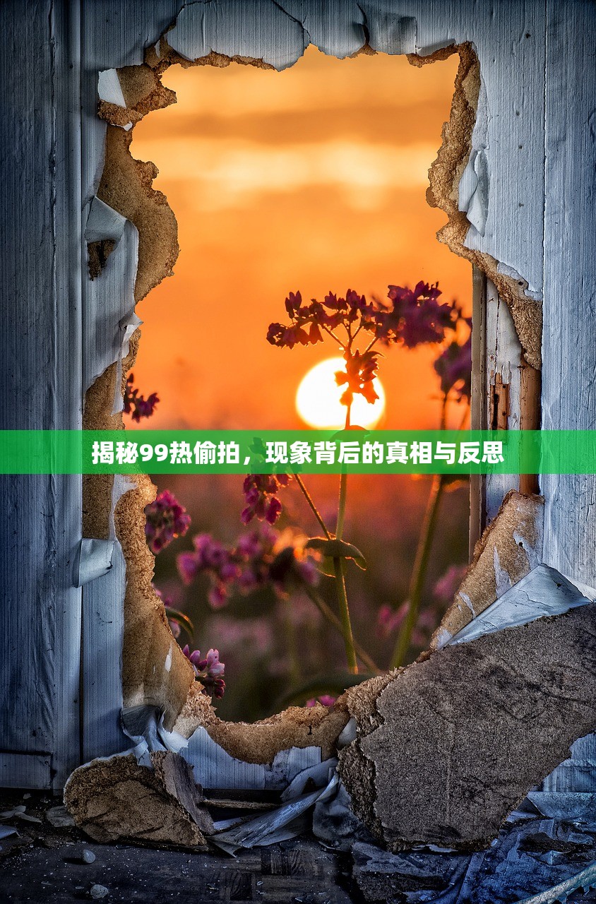 揭秘99热偷拍，现象背后的真相与反思