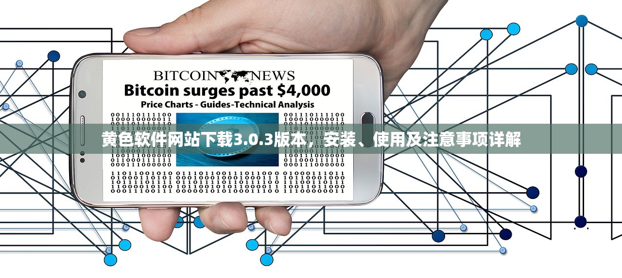 黄色软件网站下载3.0.3版本，安装、使用及注意事项详解